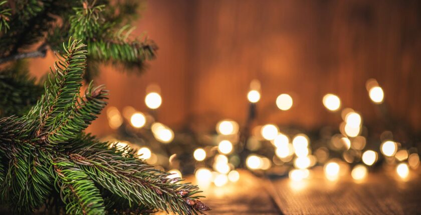 sapin de noel véritable