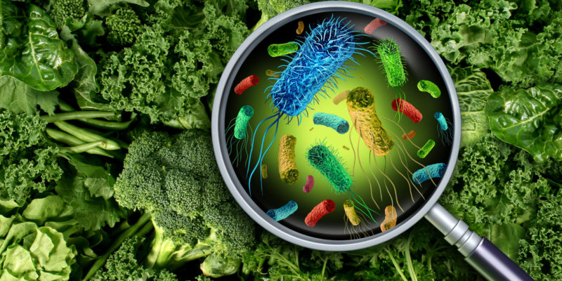 Bacteria And Germs On Vegetables Introduction à la Sécurité sanitaire des aliments